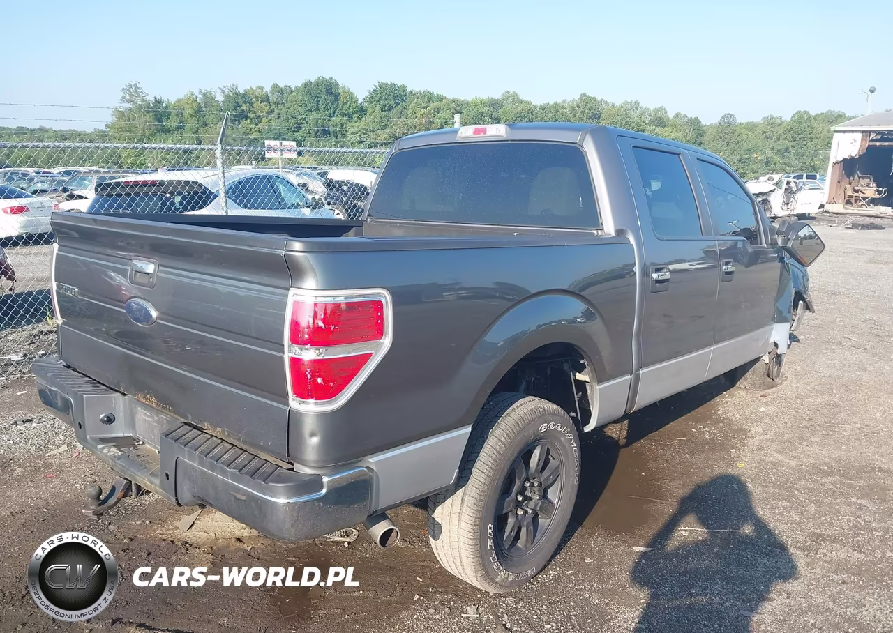 2010 Ford F-150 Xl-Xlt VIN:1FTEW1E85AFD48142 - 4