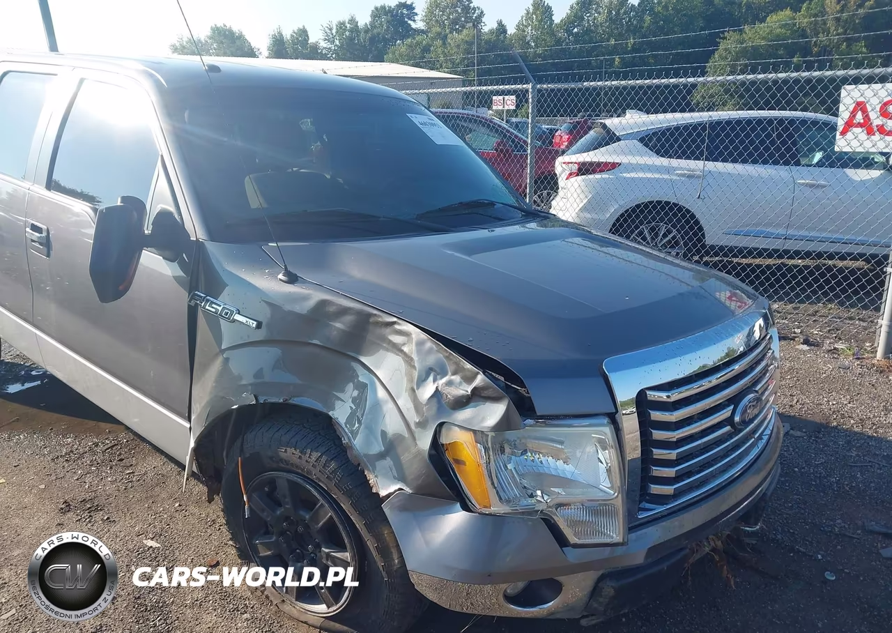 2010 Ford F-150 Xl-Xlt VIN:1FTEW1E85AFD48142 - 6