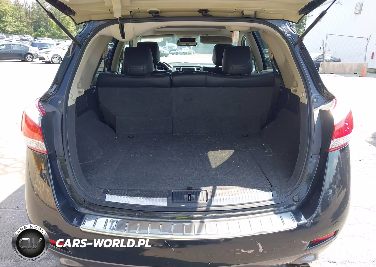 2011 Nissan Murano Le VIN:JN8AZ1MW9BW162101 - 18