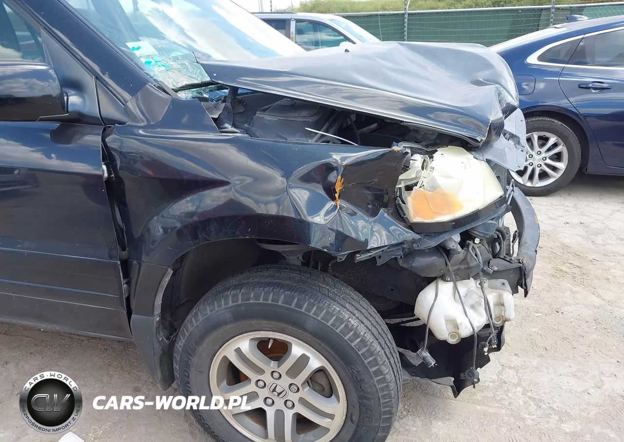 2004 Honda Pilot Ex VIN:5FNYF18444B007992 - 13