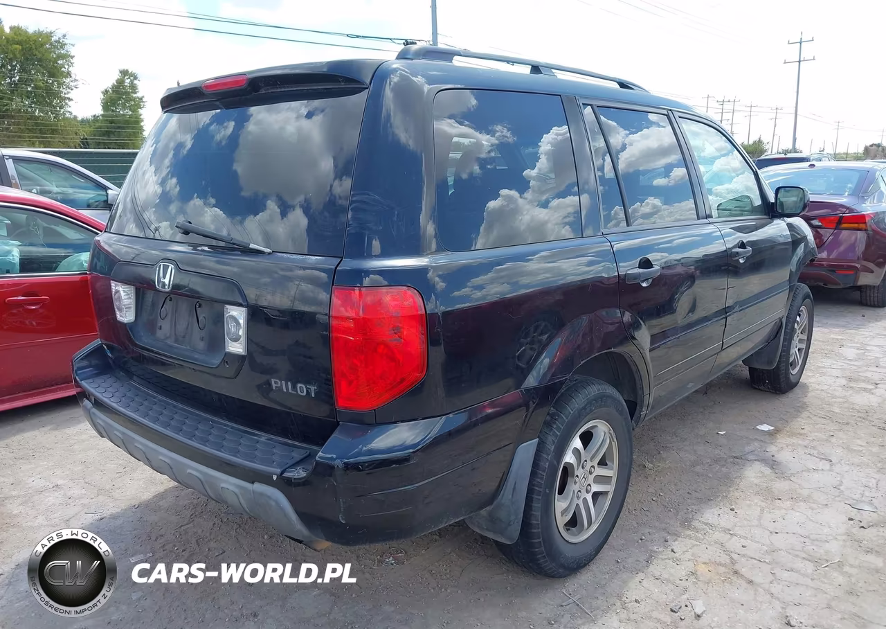 2004 Honda Pilot Ex VIN:5FNYF18444B007992 - 4