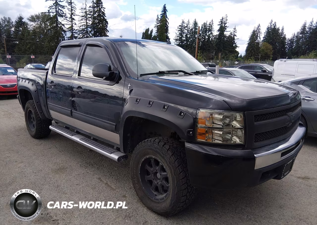 2010 Chevrolet Silverado 1500 Lt VIN:3GCRKSEA2AG118322 - 19