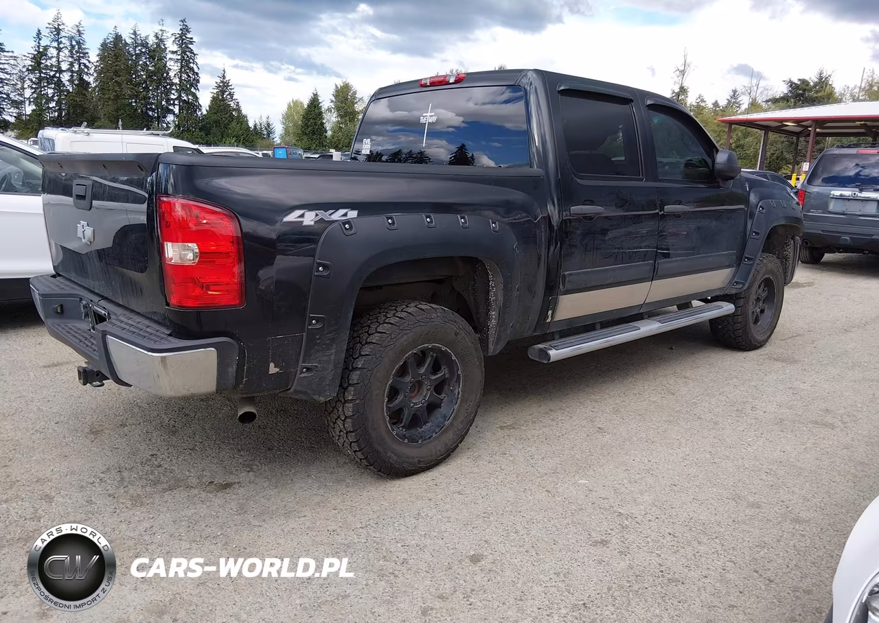 2010 Chevrolet Silverado 1500 Lt VIN:3GCRKSEA2AG118322 - 4