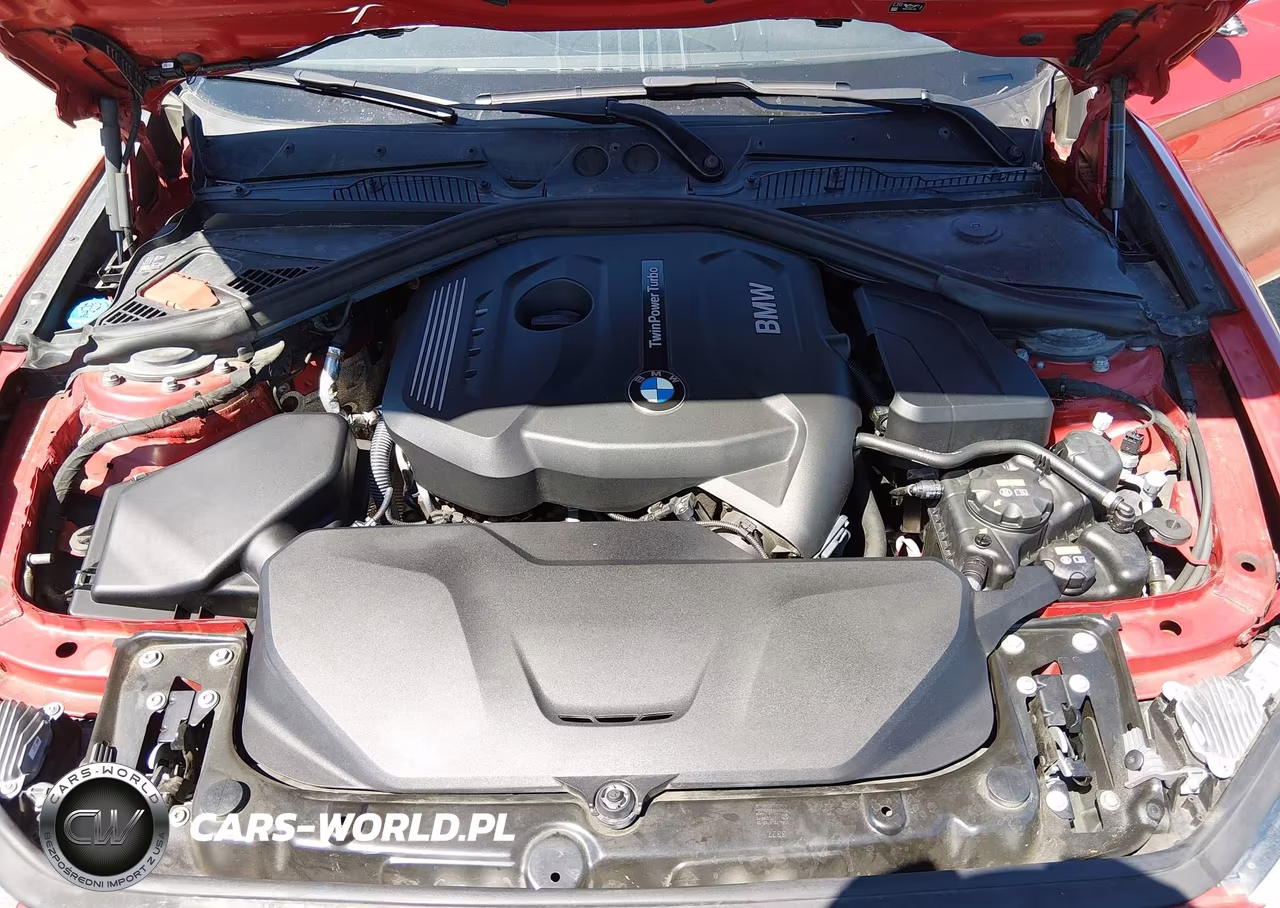 2018 BMW 230I VIN:WBA2J1C57JVD09553 - 10