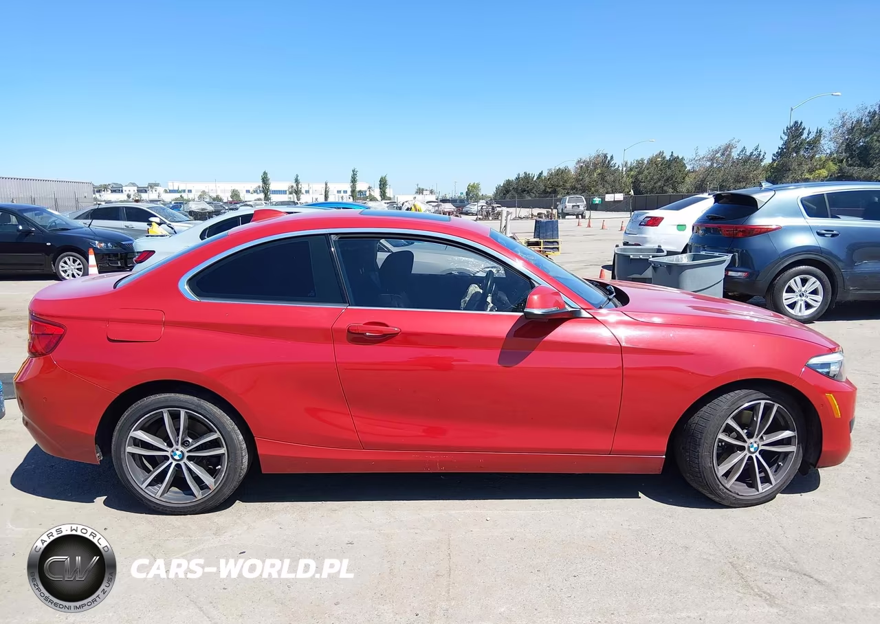 2018 BMW 230I VIN:WBA2J1C57JVD09553 - 13