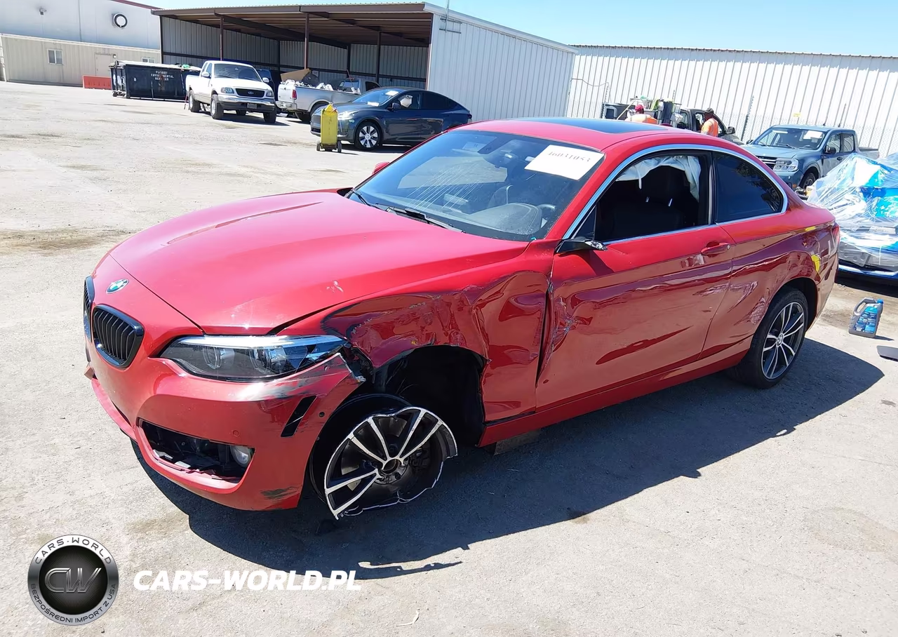 2018 BMW 230I VIN:WBA2J1C57JVD09553 - 2