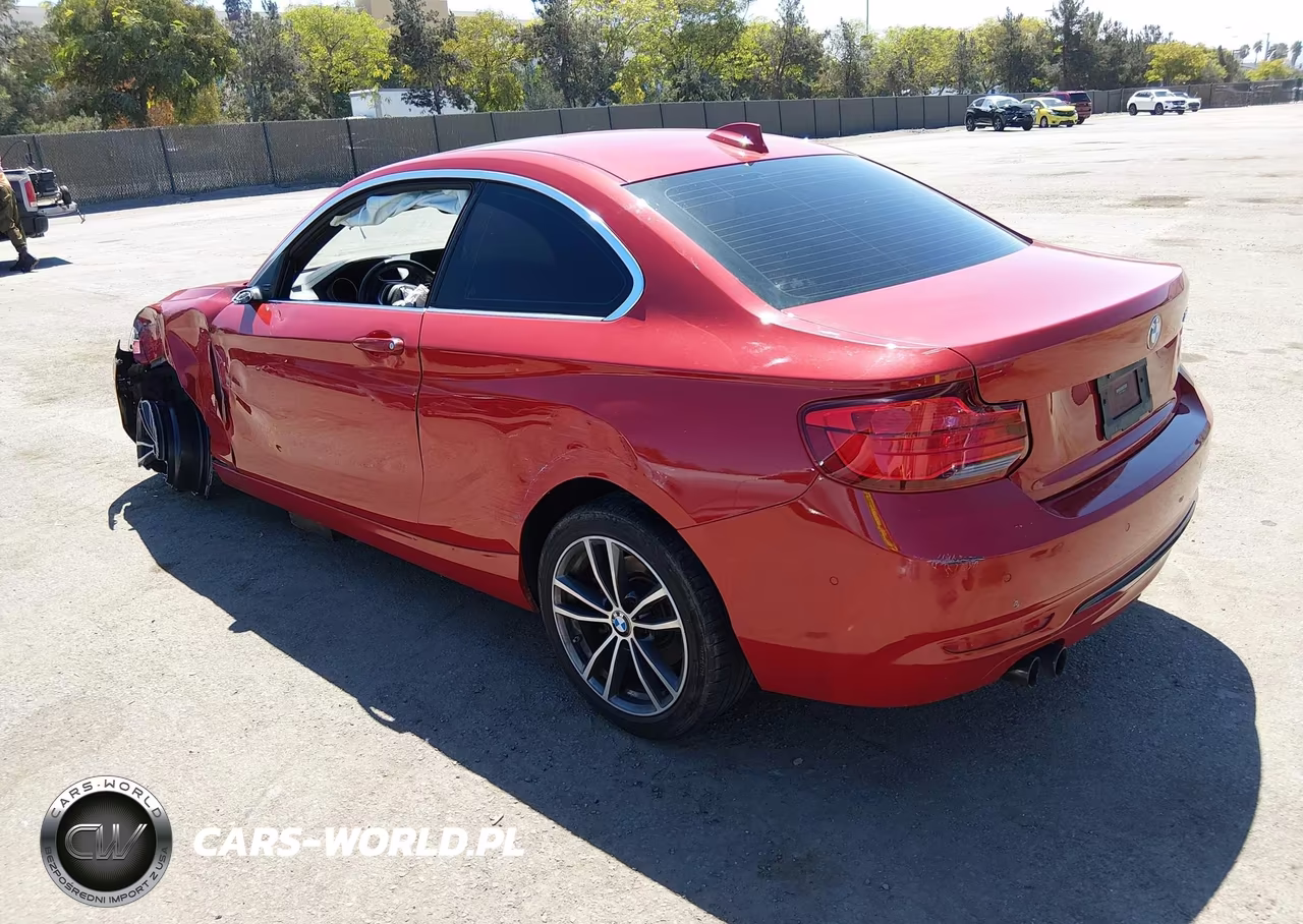 2018 BMW 230I VIN:WBA2J1C57JVD09553 - 3