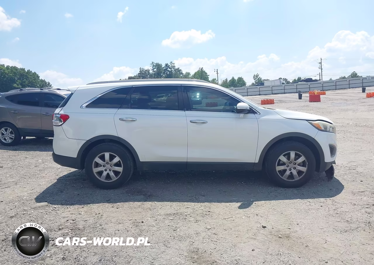 2016 Kia Sorento 2.4L Lx VIN:5XYPG4A31GG029831 - 13