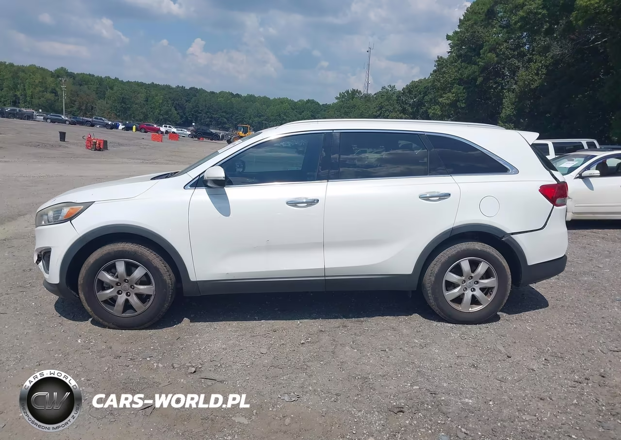2016 Kia Sorento 2.4L Lx VIN:5XYPG4A31GG029831 - 14