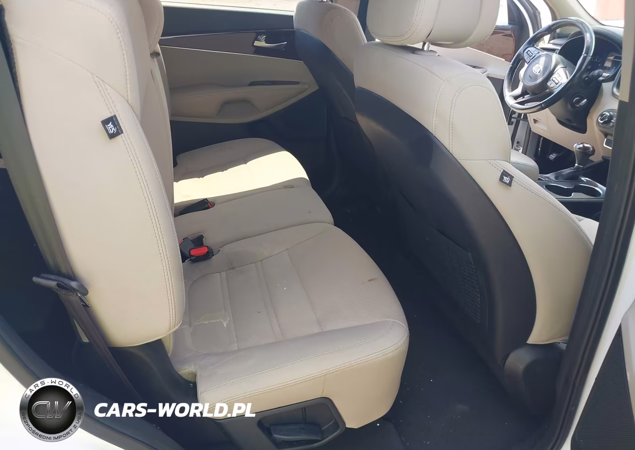 2016 Kia Sorento 2.4L Lx VIN:5XYPG4A31GG029831 - 8