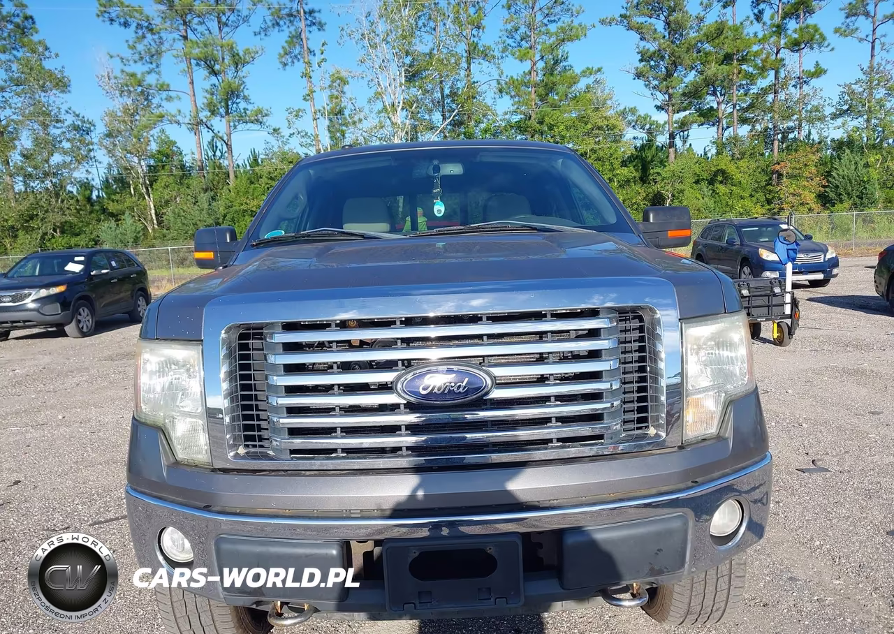 2010 Ford F-150 Fx4-Harley-Davidson-King Ranch-Lariat-Platinum-Xl-Xlt VIN:1FTFW1EV1AFB95768 - 12