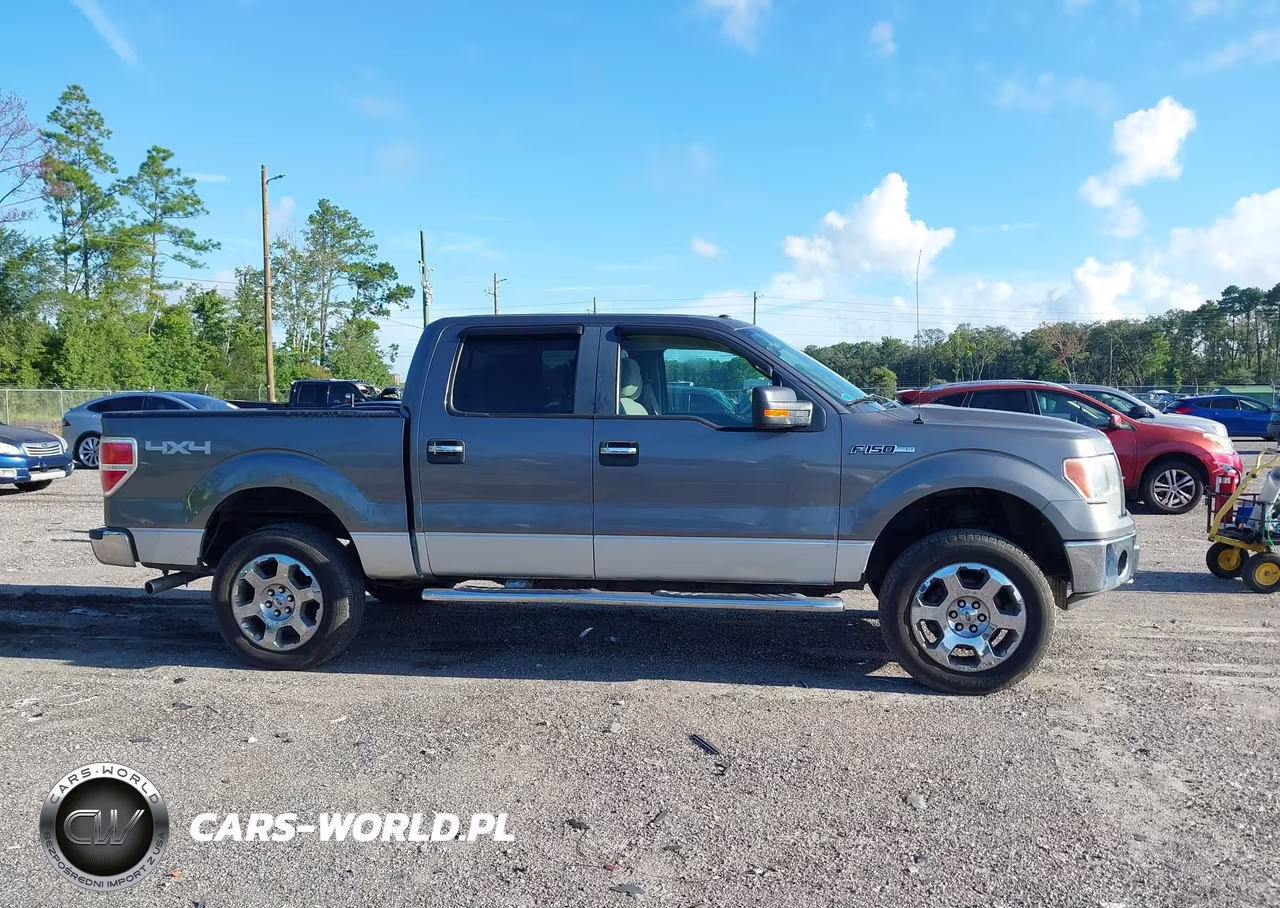 2010 Ford F-150 Fx4-Harley-Davidson-King Ranch-Lariat-Platinum-Xl-Xlt VIN:1FTFW1EV1AFB95768 - 13