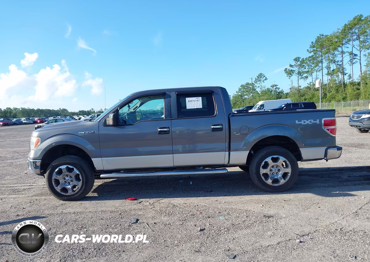 2010 Ford F-150 Fx4-Harley-Davidson-King Ranch-Lariat-Platinum-Xl-Xlt VIN:1FTFW1EV1AFB95768 - 14