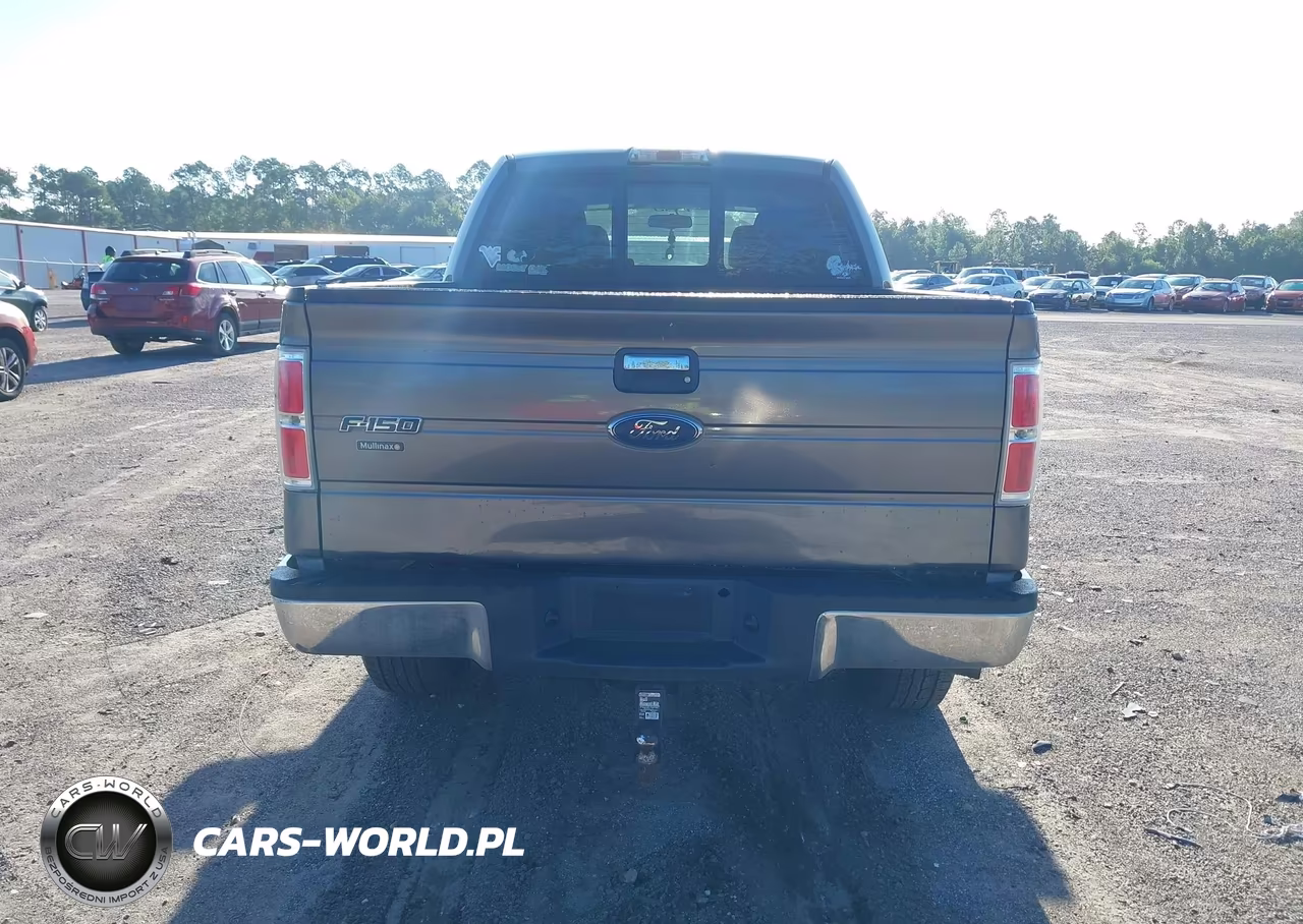 2010 Ford F-150 Fx4-Harley-Davidson-King Ranch-Lariat-Platinum-Xl-Xlt VIN:1FTFW1EV1AFB95768 - 16