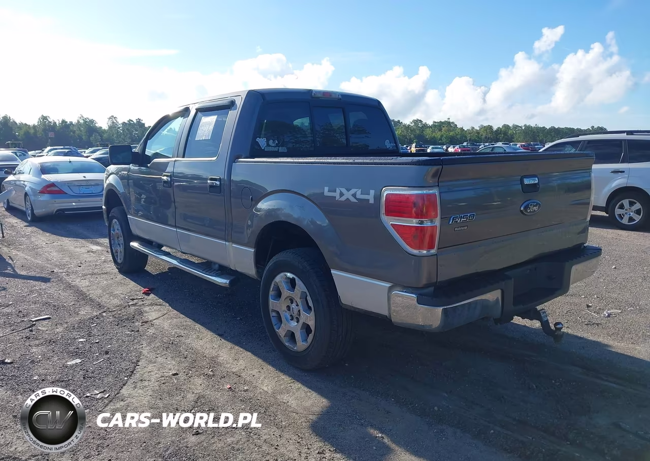 2010 Ford F-150 Fx4-Harley-Davidson-King Ranch-Lariat-Platinum-Xl-Xlt VIN:1FTFW1EV1AFB95768 - 3