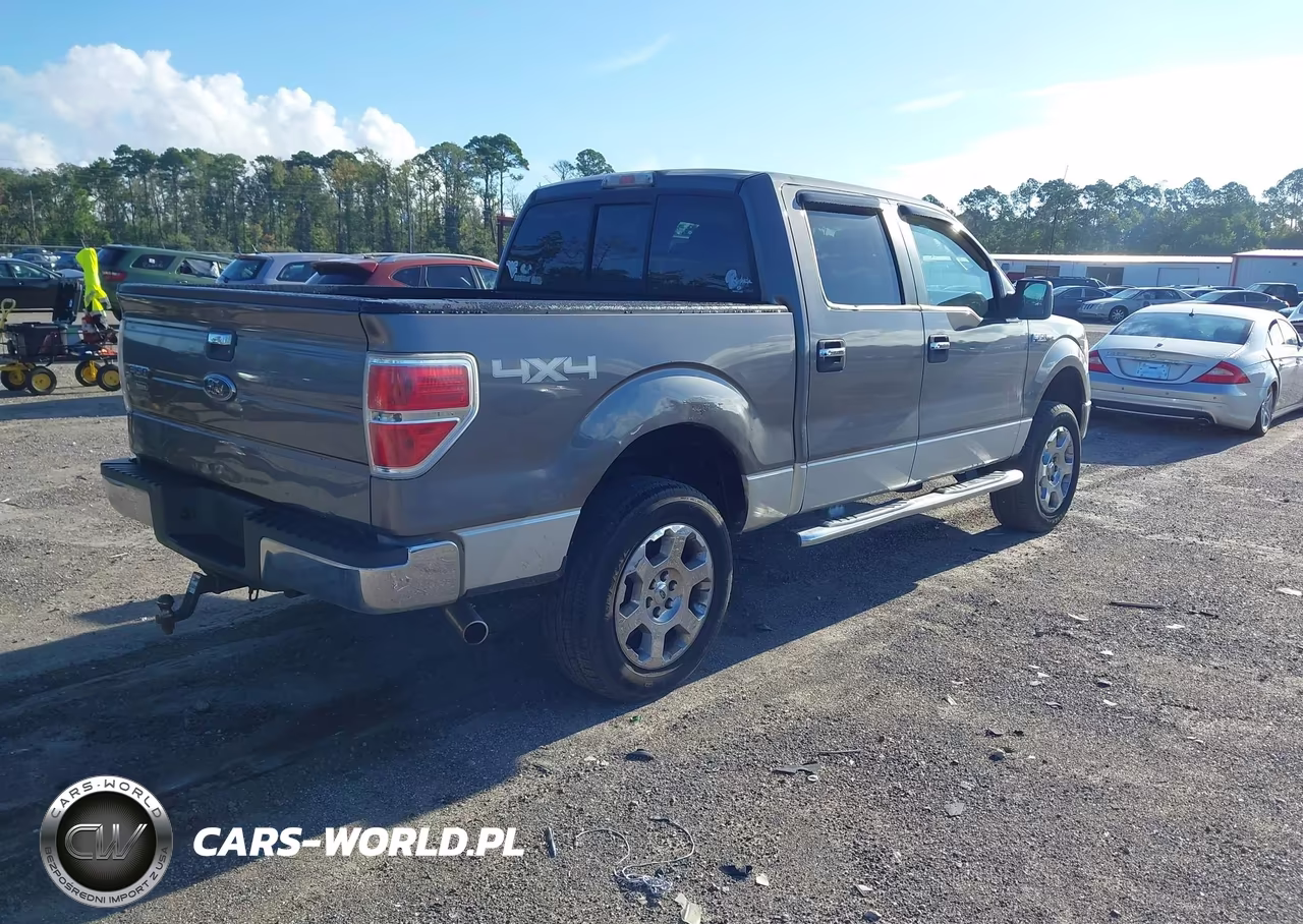 2010 Ford F-150 Fx4-Harley-Davidson-King Ranch-Lariat-Platinum-Xl-Xlt VIN:1FTFW1EV1AFB95768 - 4