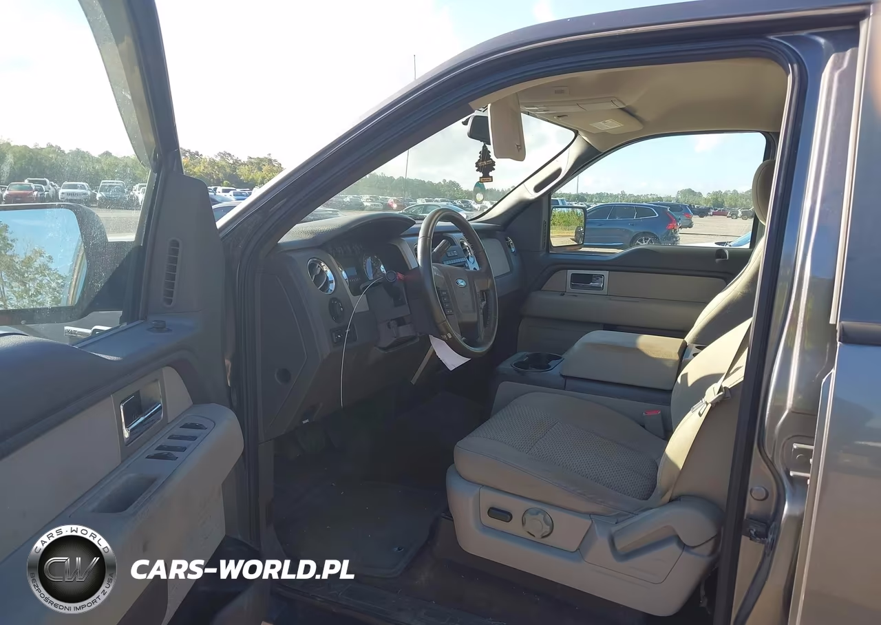2010 Ford F-150 Fx4-Harley-Davidson-King Ranch-Lariat-Platinum-Xl-Xlt VIN:1FTFW1EV1AFB95768 - 5