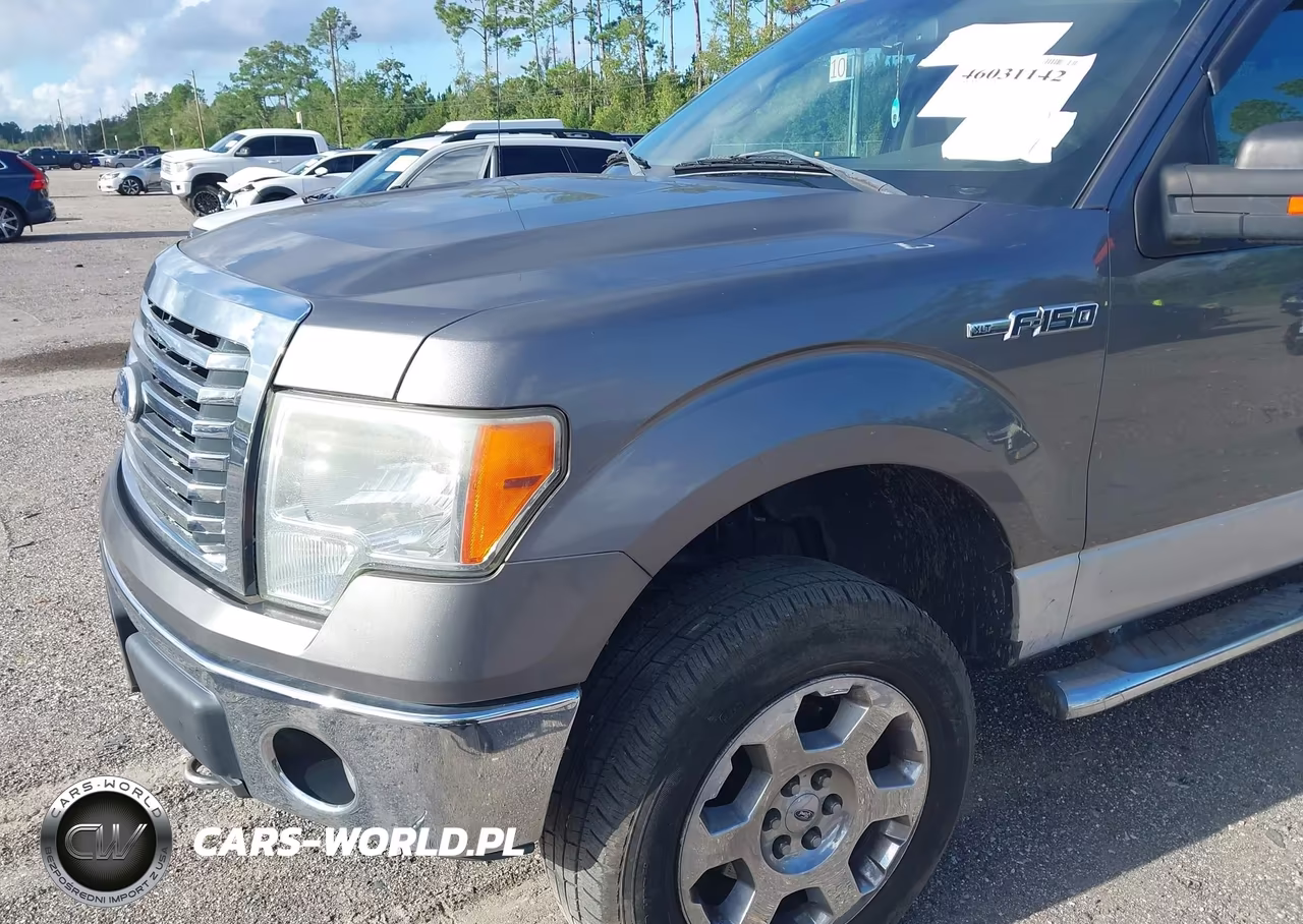 2010 Ford F-150 Fx4-Harley-Davidson-King Ranch-Lariat-Platinum-Xl-Xlt VIN:1FTFW1EV1AFB95768 - 6