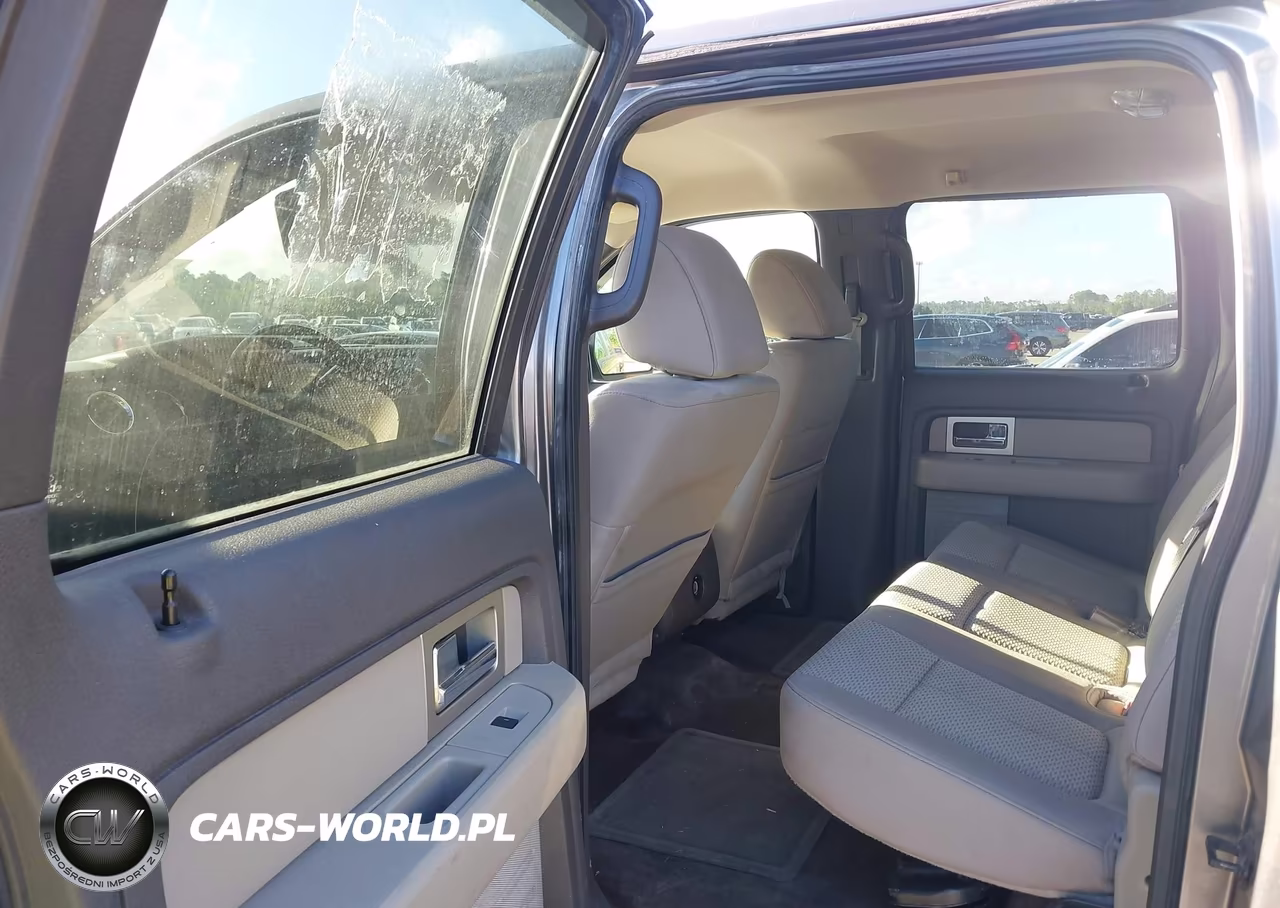 2010 Ford F-150 Fx4-Harley-Davidson-King Ranch-Lariat-Platinum-Xl-Xlt VIN:1FTFW1EV1AFB95768 - 8