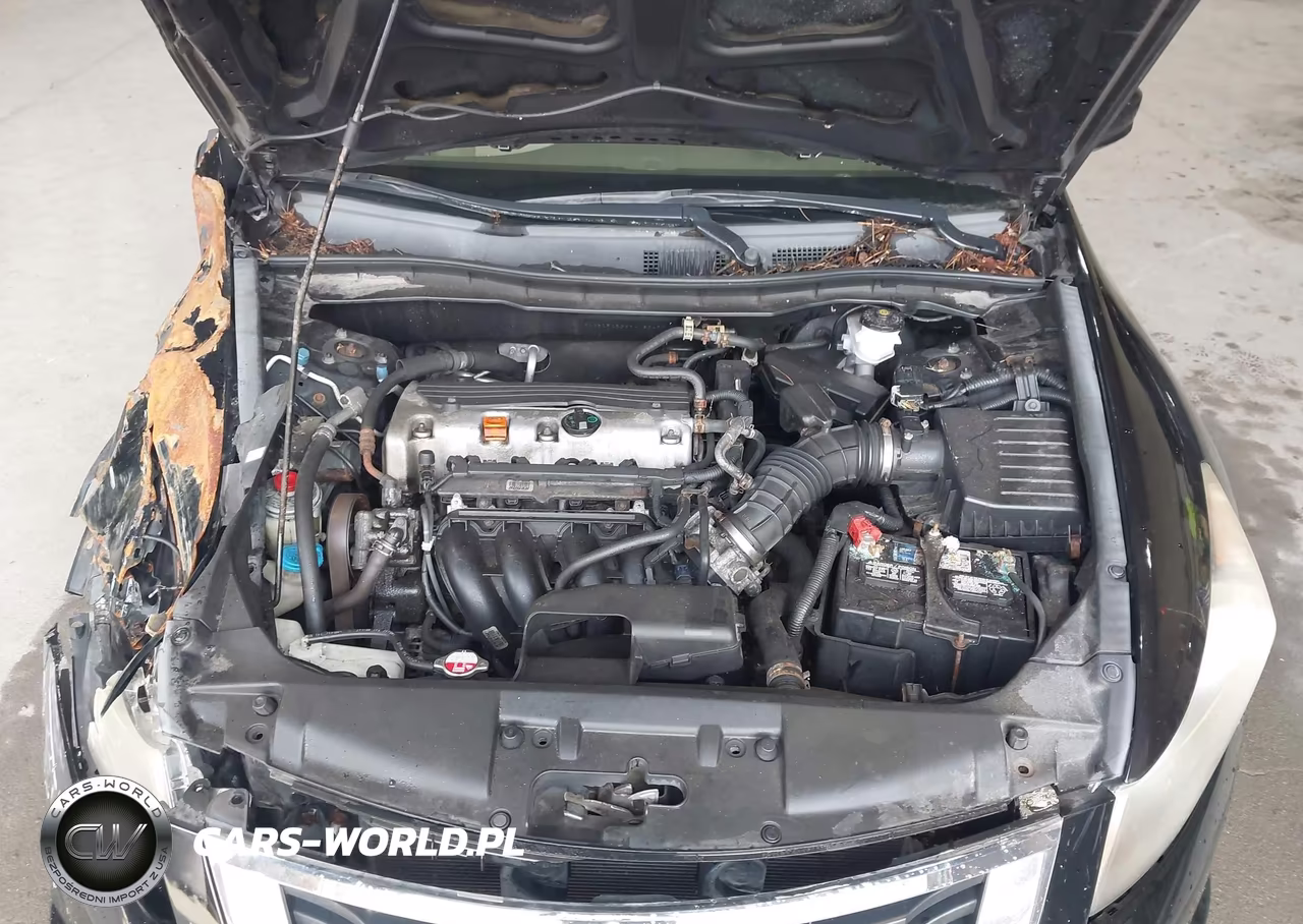 2009 Honda Accord 2.4 Lx VIN:1HGCP26369A183497 - 10