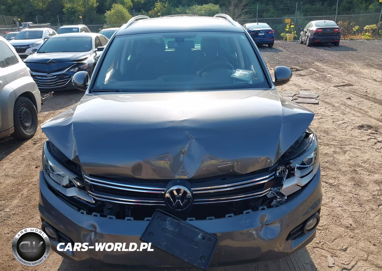 2016 Volkswagen Tiguan Se VIN:WVGBV7AX7GW537241 - 12