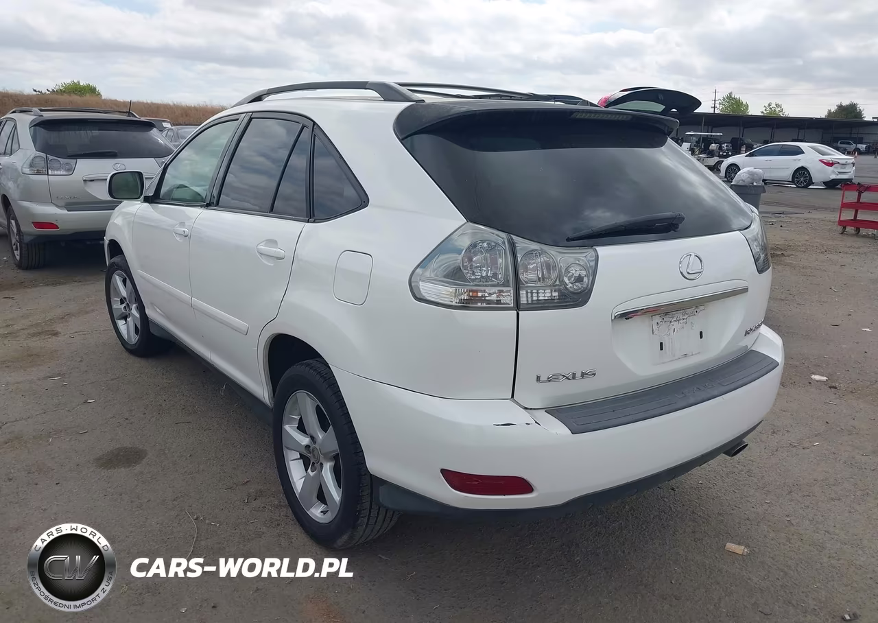 2006 LEXUS RX 330 VIN:JTJGA31U560063258 - 3