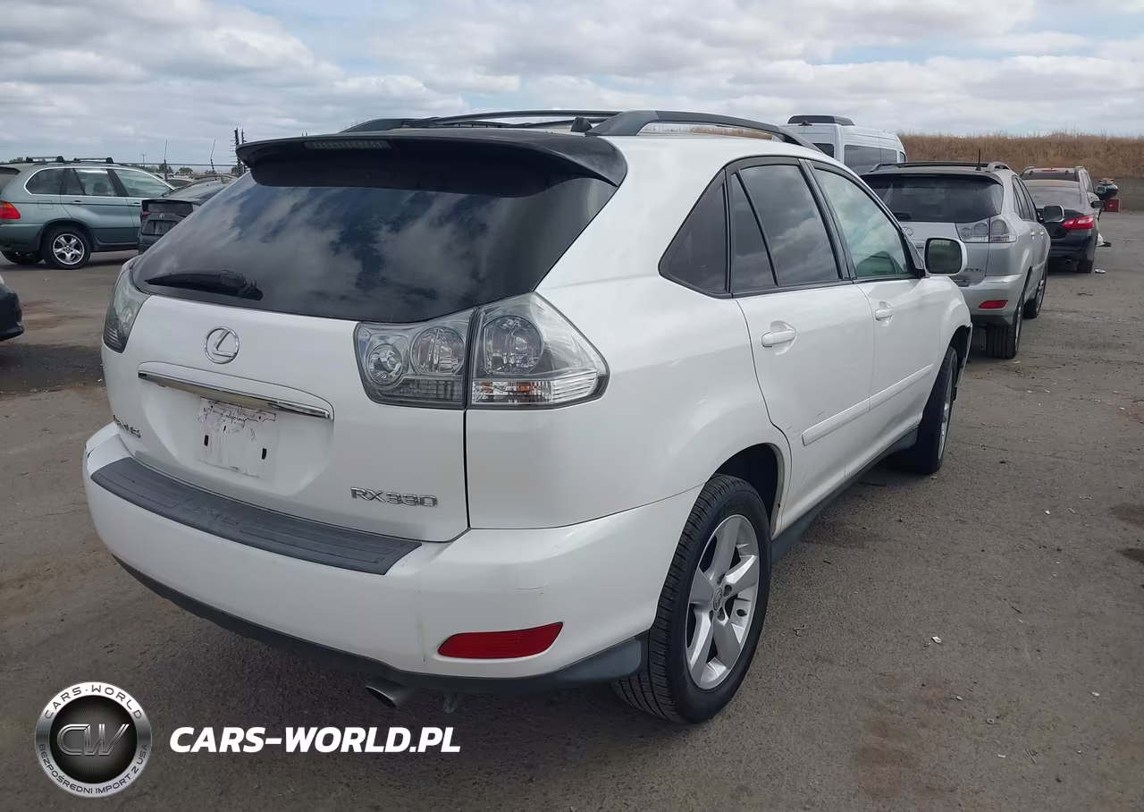 2006 LEXUS RX 330 VIN:JTJGA31U560063258 - 4