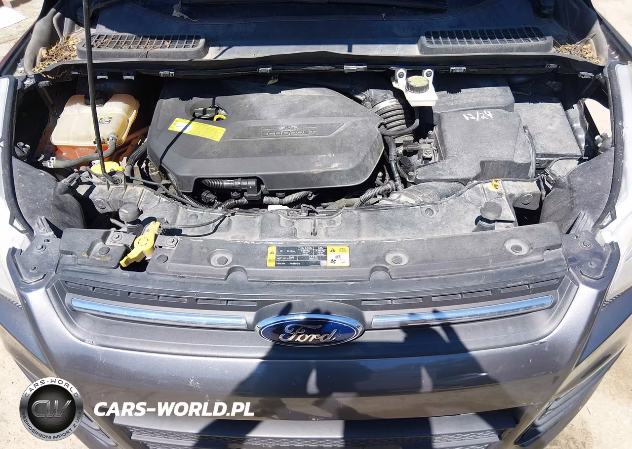 2013 Ford Escape Se VIN:1FMCU0GX3DUC47057 - 10