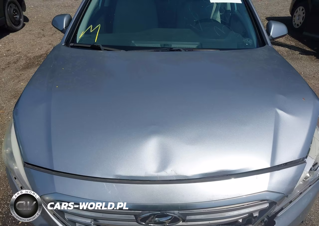2016 Hyundai Sonata Se VIN:5NPE24AF5GH296236 - 10