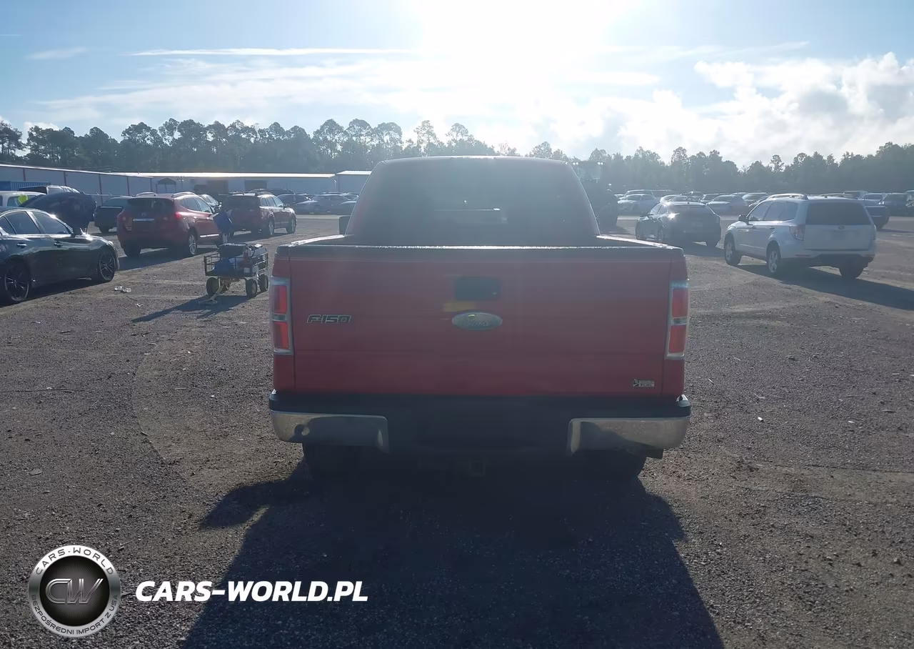 2010 Ford F-150 Fx4-Lariat-Xl-Xlt VIN:1FTFX1EV5AFD75560 - 16