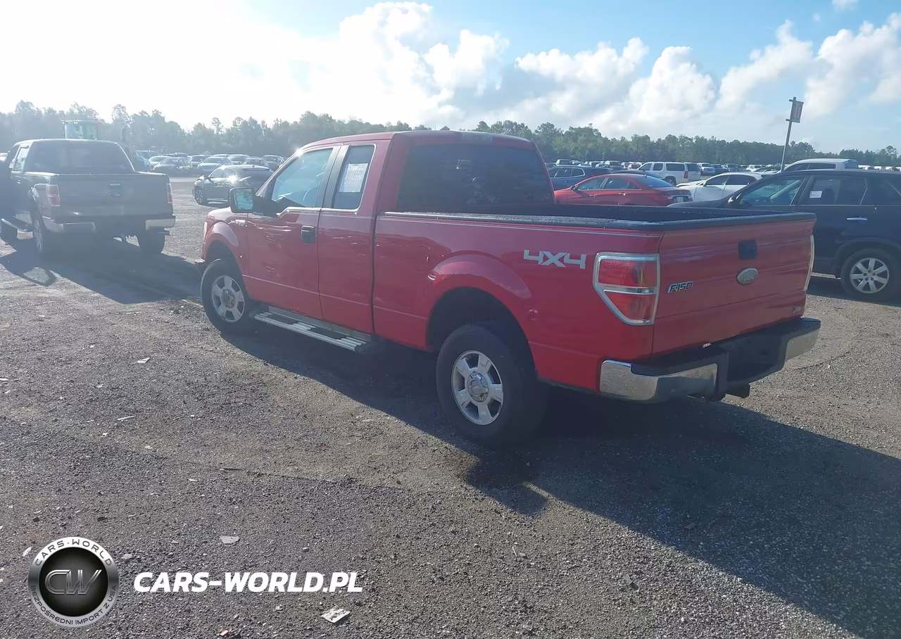 2010 Ford F-150 Fx4-Lariat-Xl-Xlt VIN:1FTFX1EV5AFD75560 - 3