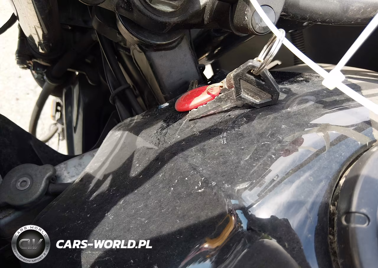 2013 Kawasaki Kl650 E VIN:JKAKLEE1XDDA55498 - 11