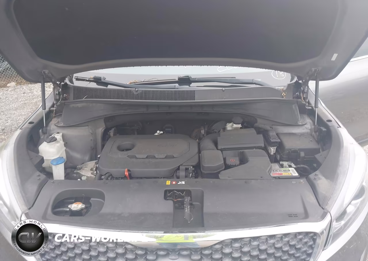 2018 Kia Sorento 2.4L Lx VIN:5XYPG4A33JG411589 - 10