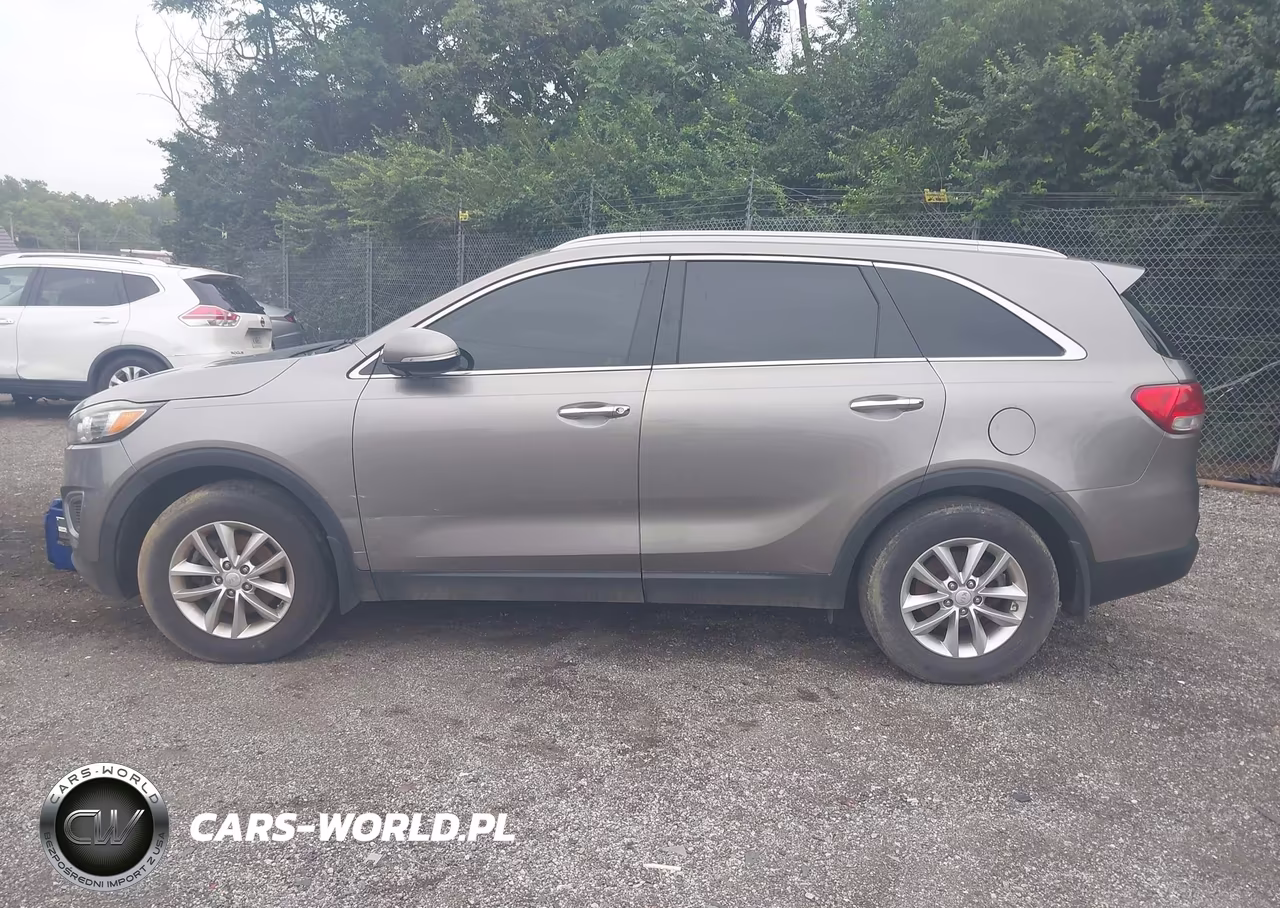 2018 Kia Sorento 2.4L Lx VIN:5XYPG4A33JG411589 - 13