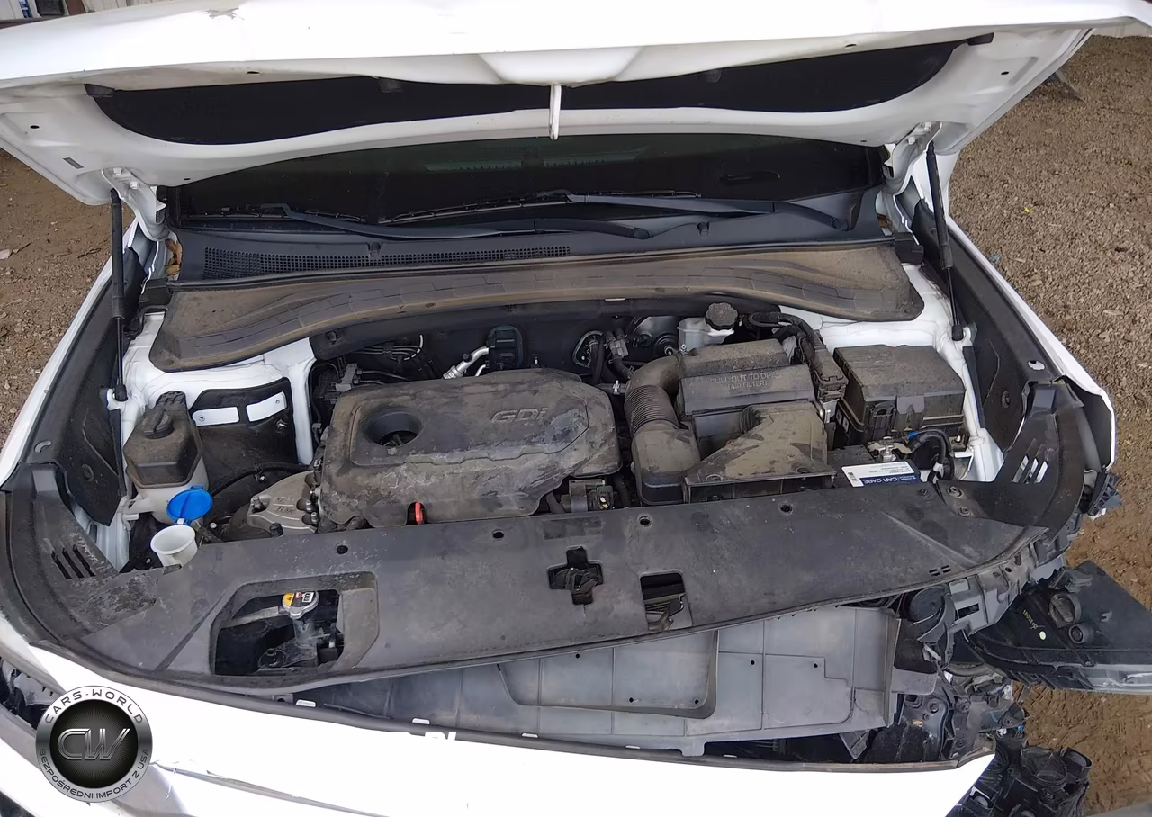 2019 Hyundai Santa Fe Sel Plus VIN:5NMS33AD3KH023620 - 10