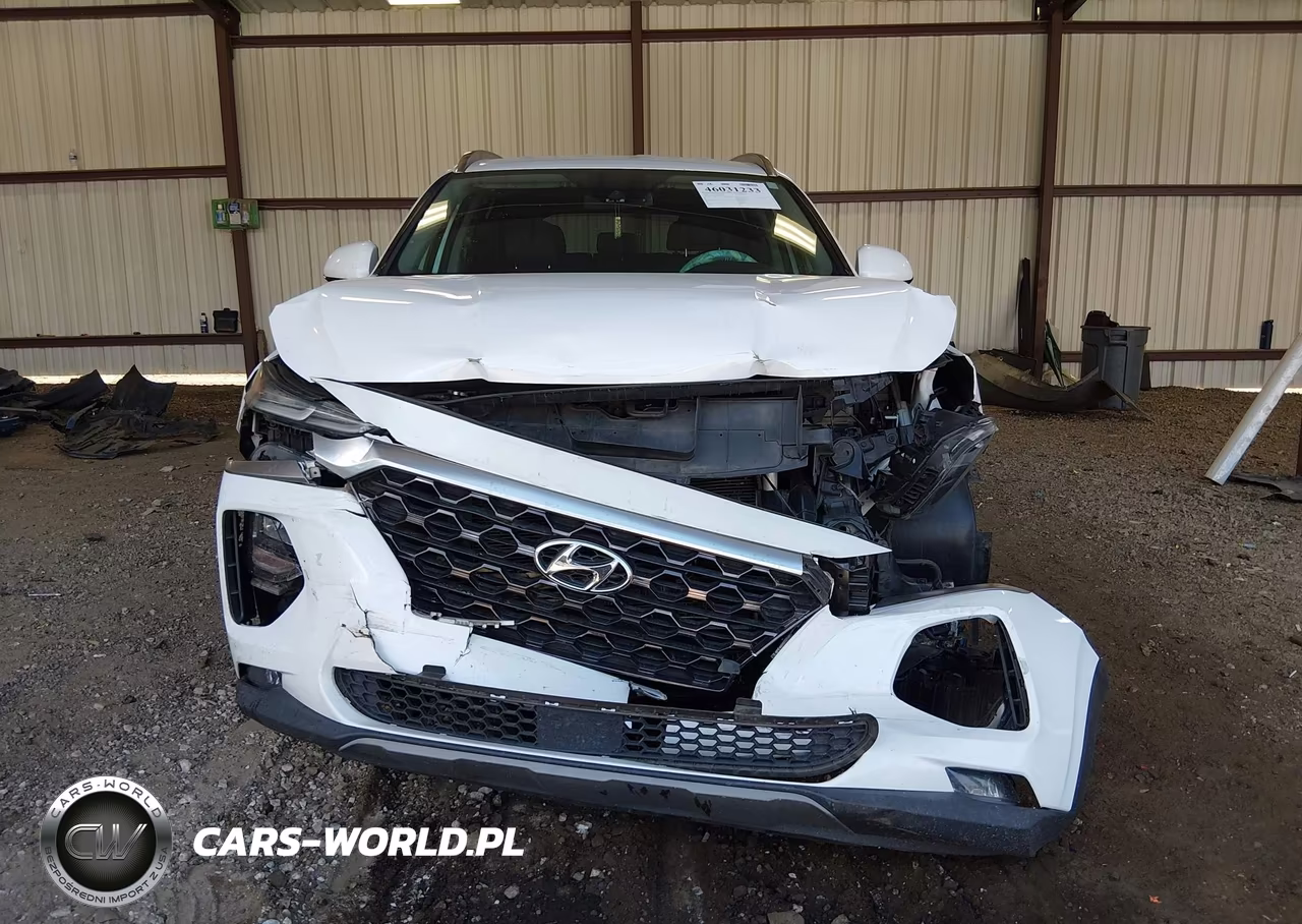 2019 Hyundai Santa Fe Sel Plus VIN:5NMS33AD3KH023620 - 12