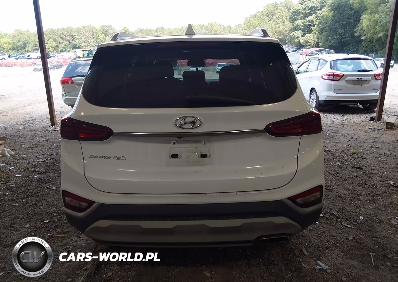 2019 Hyundai Santa Fe Sel Plus VIN:5NMS33AD3KH023620 - 16