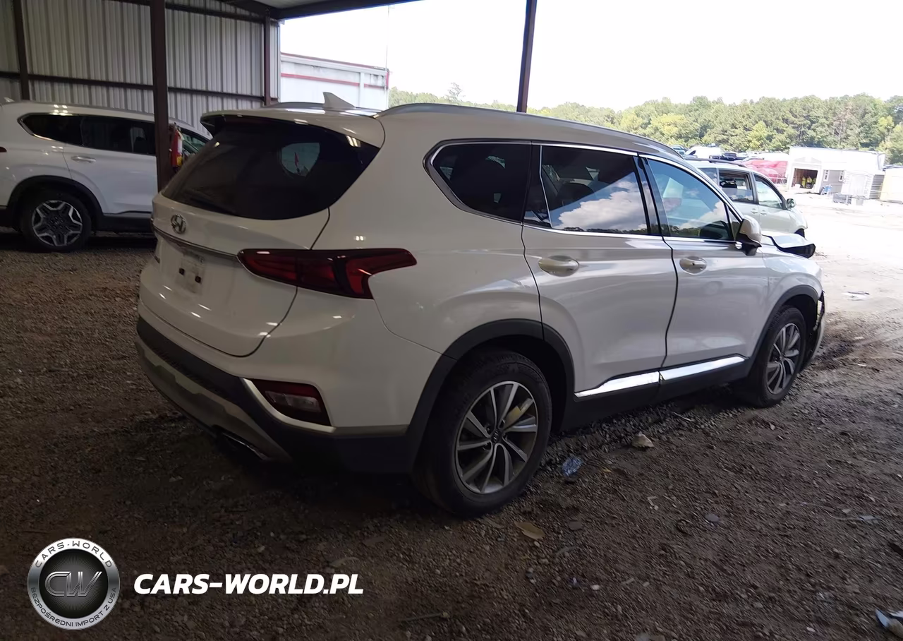 2019 Hyundai Santa Fe Sel Plus VIN:5NMS33AD3KH023620 - 4