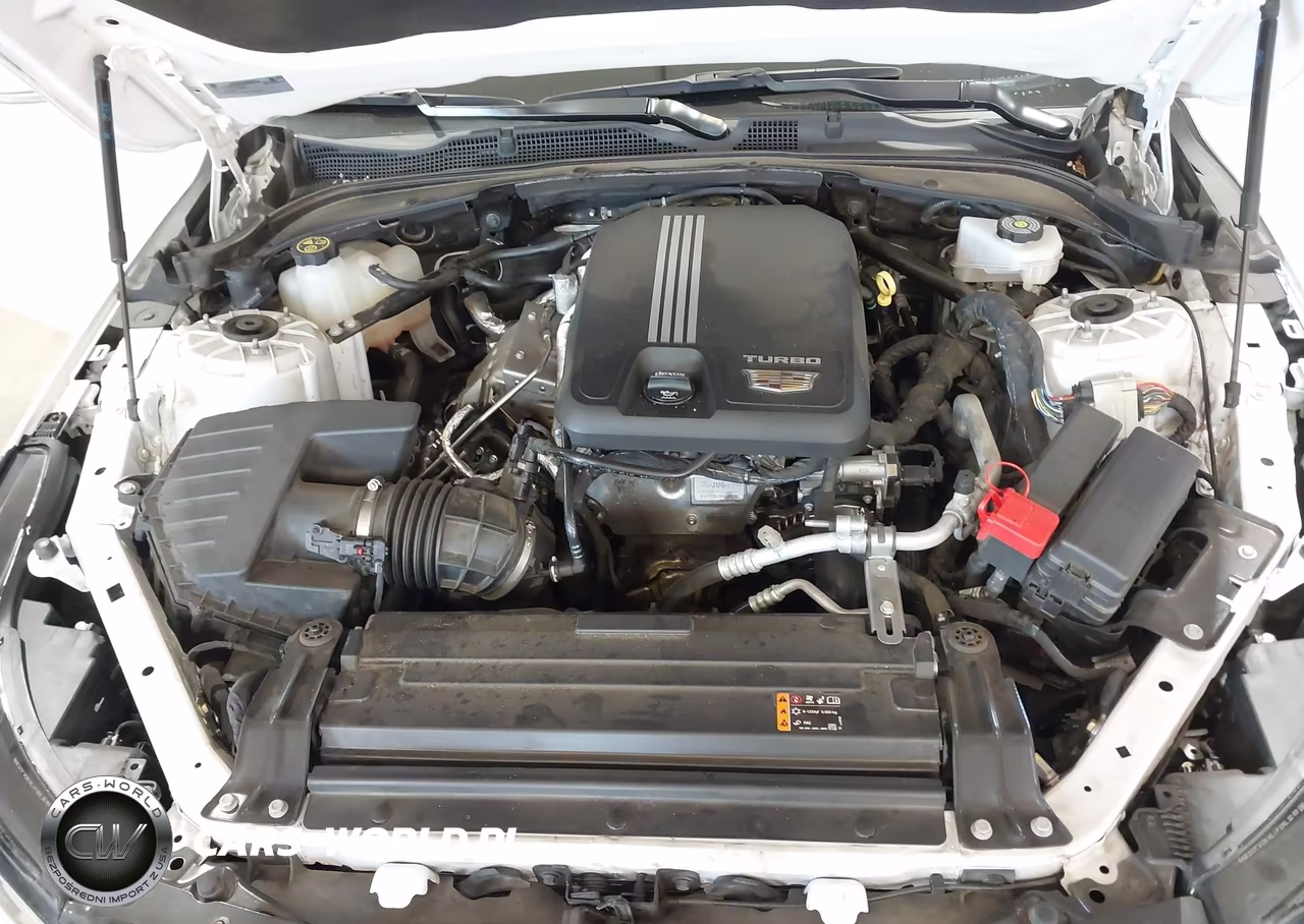 2024 Cadillac Ct4 Luxury VIN:1G6DJ5RK2R0100651 - 10