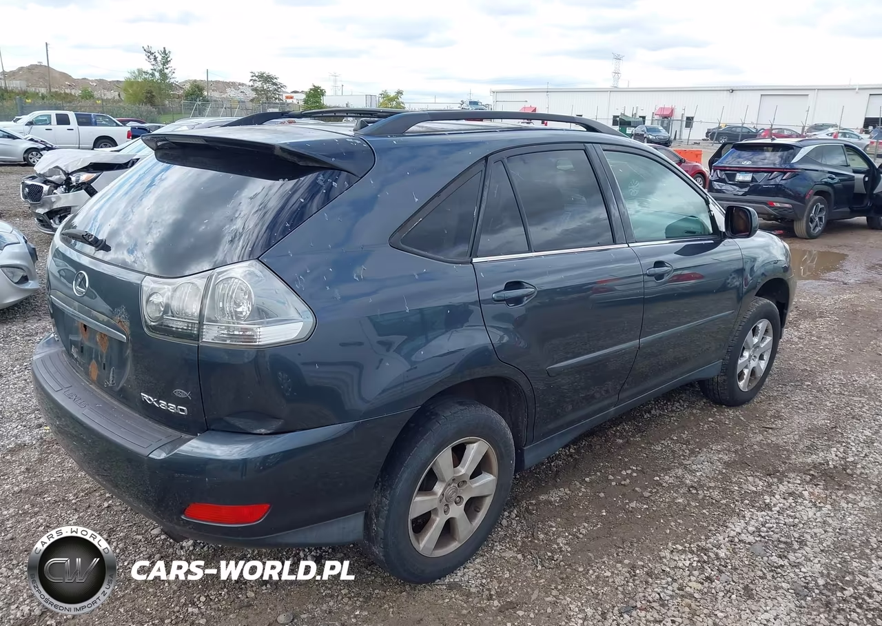2004 Lexus Rx 330 VIN:JTJHA31U940050742 - 4