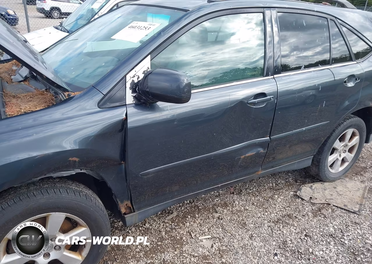 2004 Lexus Rx 330 VIN:JTJHA31U940050742 - 6