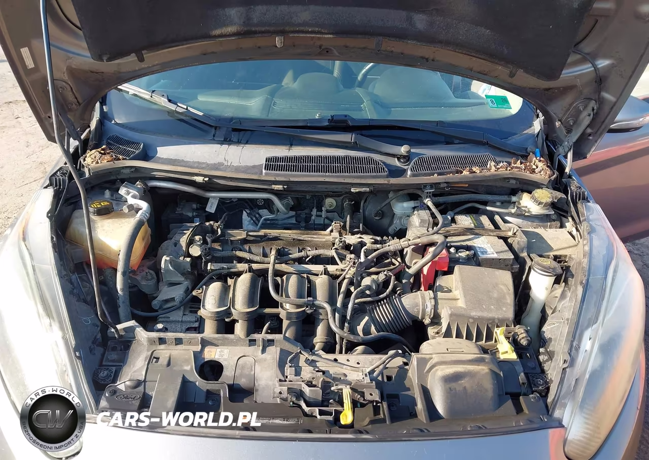 2014 Ford Fiesta Se VIN:3FADP4BJ0EM216192 - 10