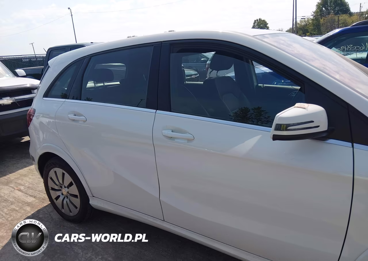 2017 Mercedes-Benz B 250E VIN:WDDVP9AB5HJ014994 - 13