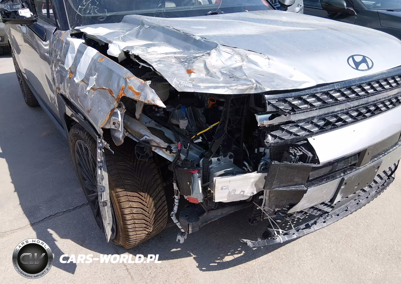 2024 Hyundai Santa Fe Calligraphy VIN:5NMP54GL7RH033355 - 6