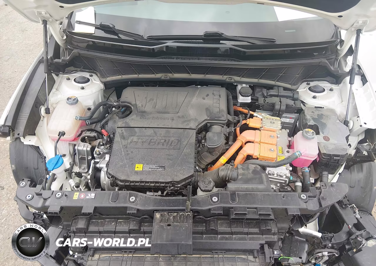 2024 Kia Niro Sx VIN:KNDCT3LE6R5121970 - 10