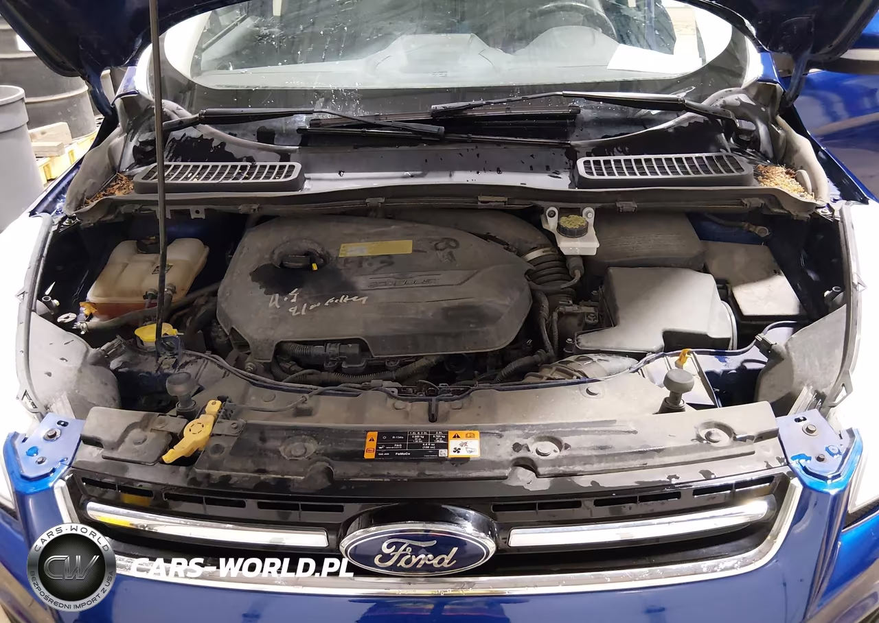 2013 Ford Escape Sel VIN:1FMCU9HX5DUA24330 - 10