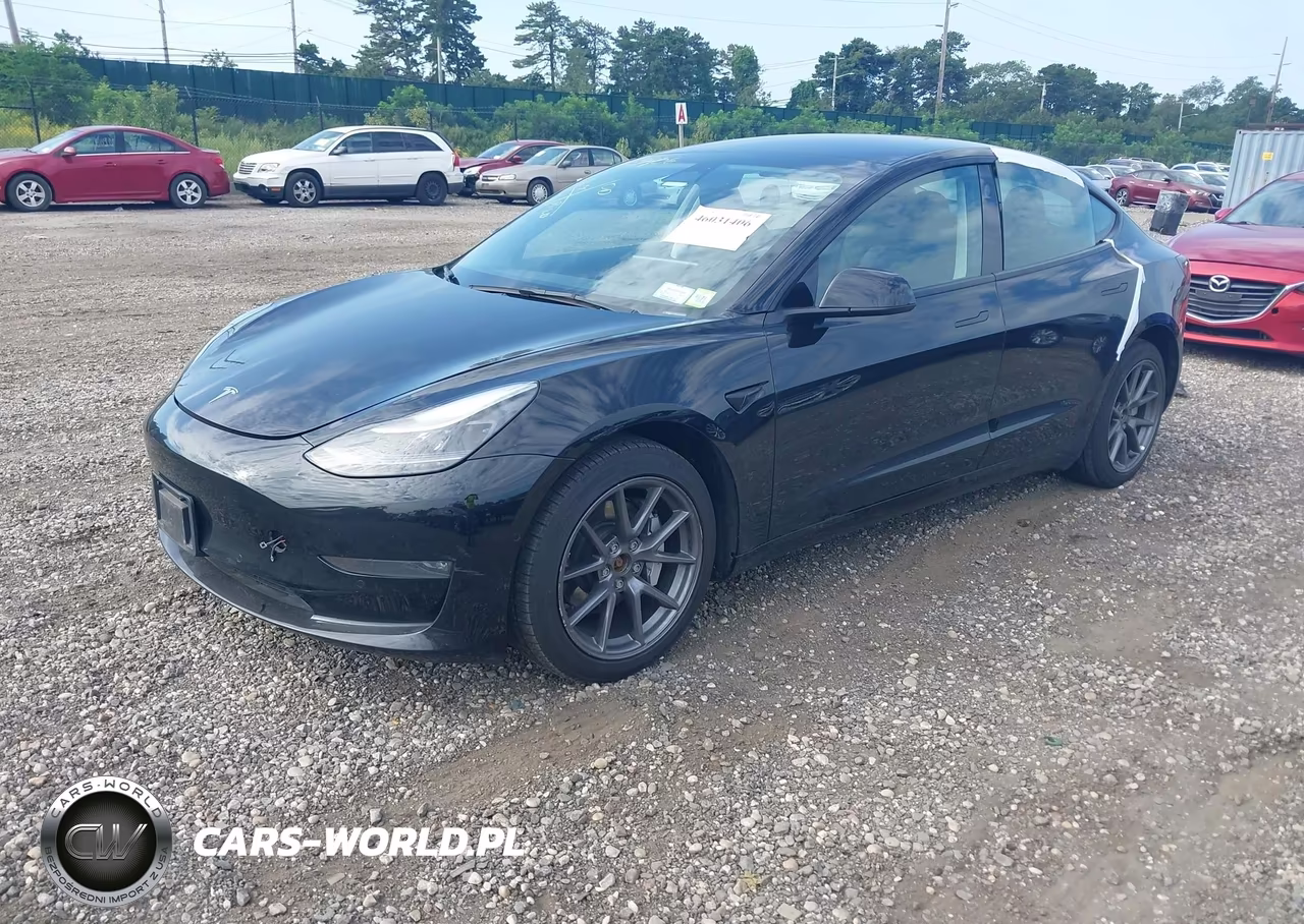 2022 Tesla Model 3 Long Range Dual Motor All-Wheel Drive VIN:5YJ3E1EB2NF200806 - 2