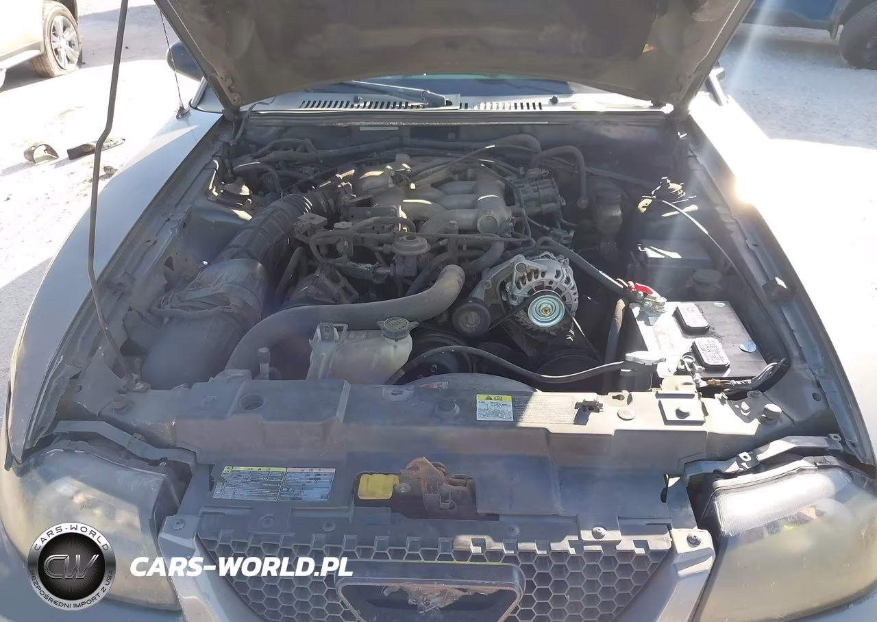 2002 Ford Mustang VIN:1FAFP40402F225704 - 10