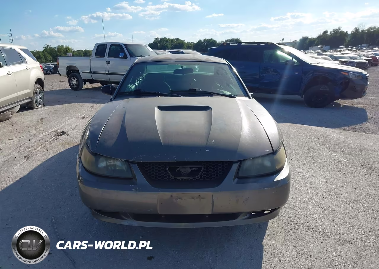 2002 Ford Mustang VIN:1FAFP40402F225704 - 13