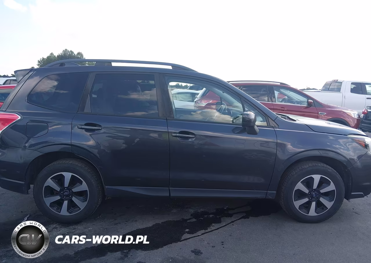 2017 Subaru Forester 2.5I Premium VIN:JF2SJAEC3HH542237 - 13